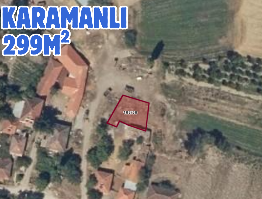 Fotoğraf